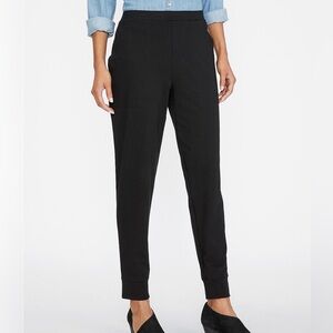 🆕 Eileen Fisher ankle pants